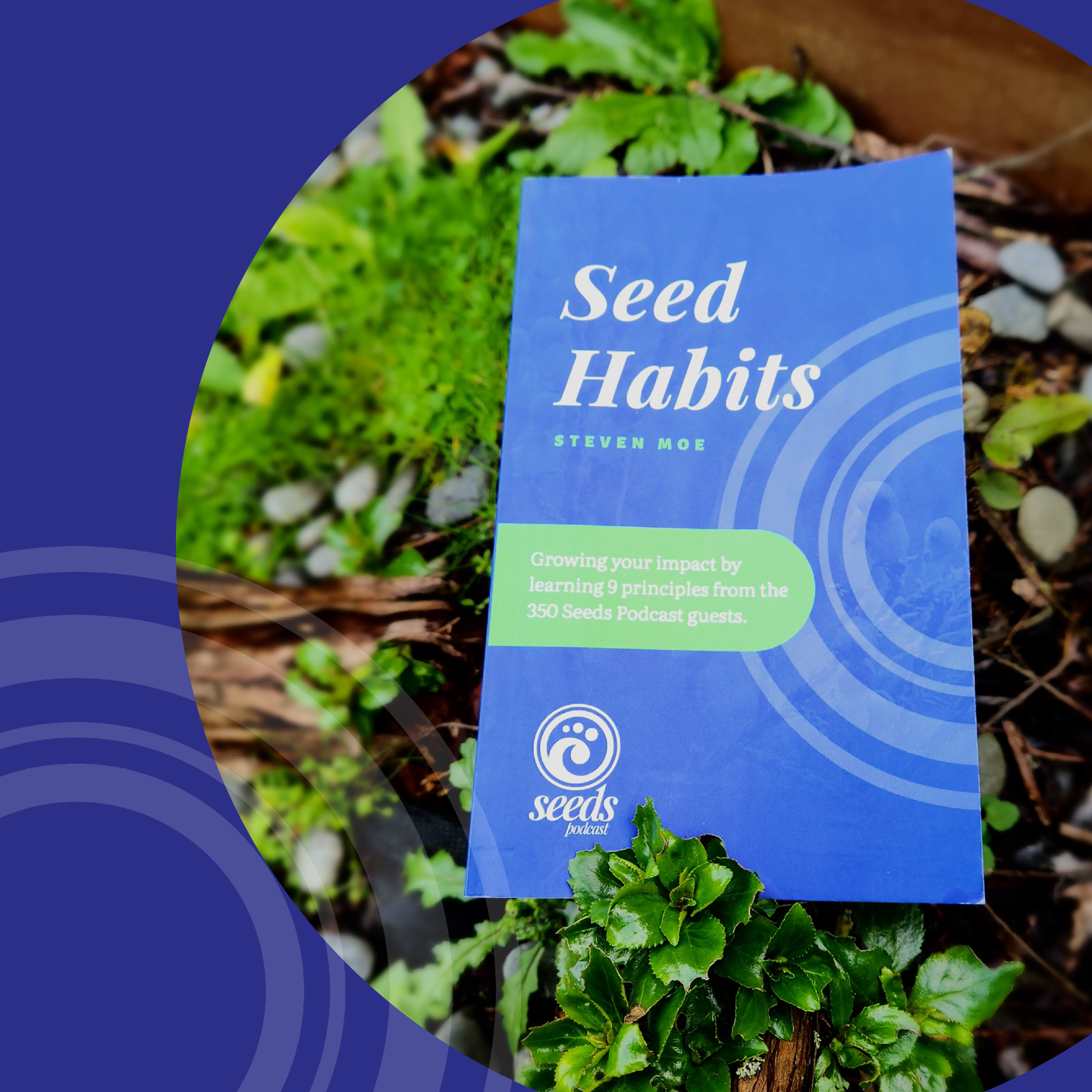 Cover of the book Seed Habits by Steven Moe.