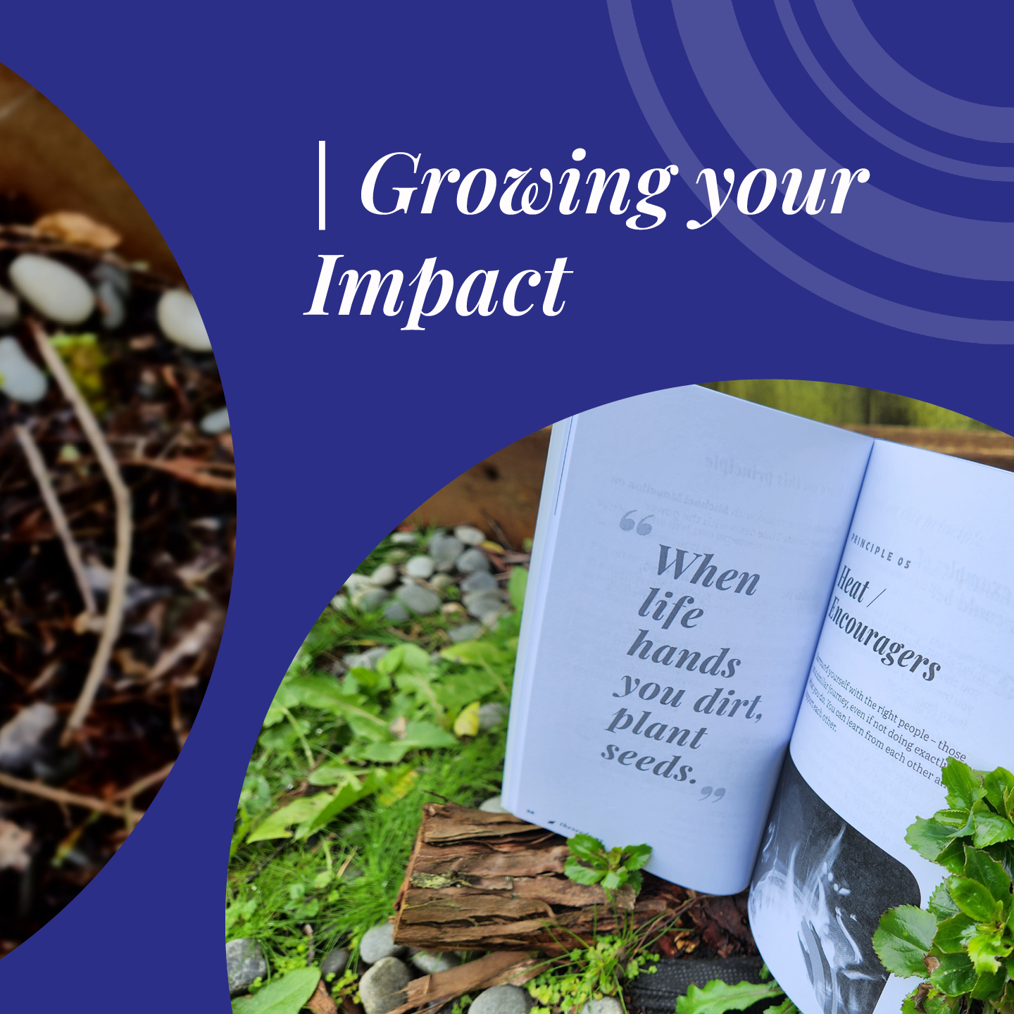 An inside page of the book Seed Habits by Steven Moe. It says "When life hands you dirt, plant seeds."